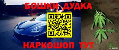 гидра Малгобек