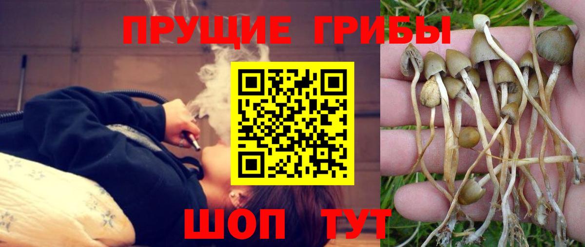 Галлюциногенные грибы GOLDEN TEACHER  Вход с VPN  Ялта 
